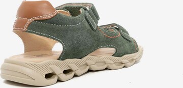 Nero Giardini Open schoenen 'Colorado Erba' in Groen