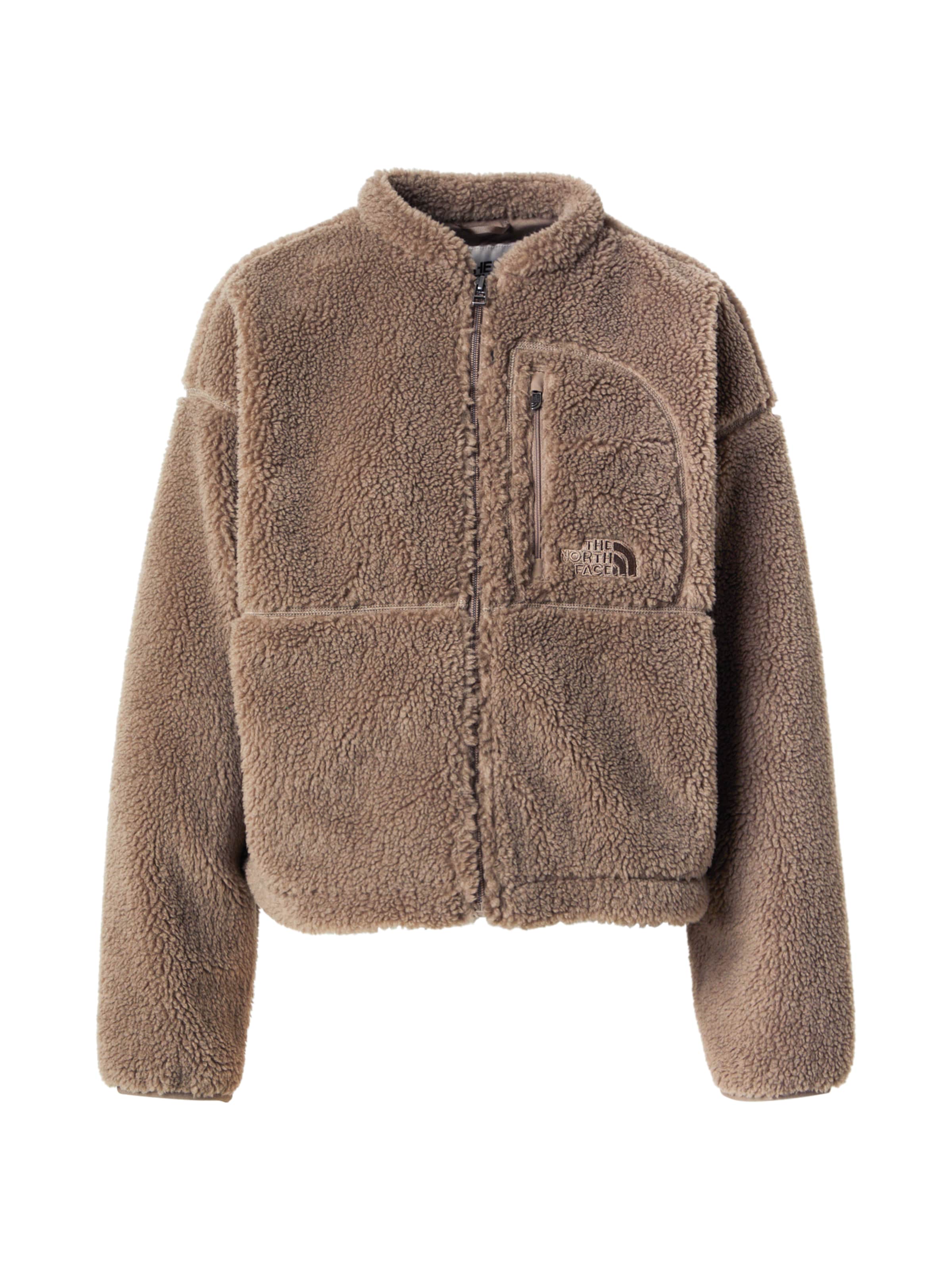 Giacca di pile 'EXTREME PILE' di THE NORTH FACE in marrone: frontale