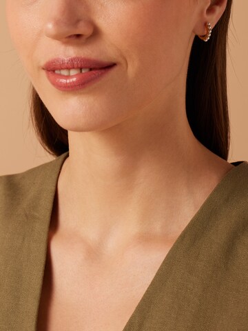 Lucardi Earrings in Gold: front