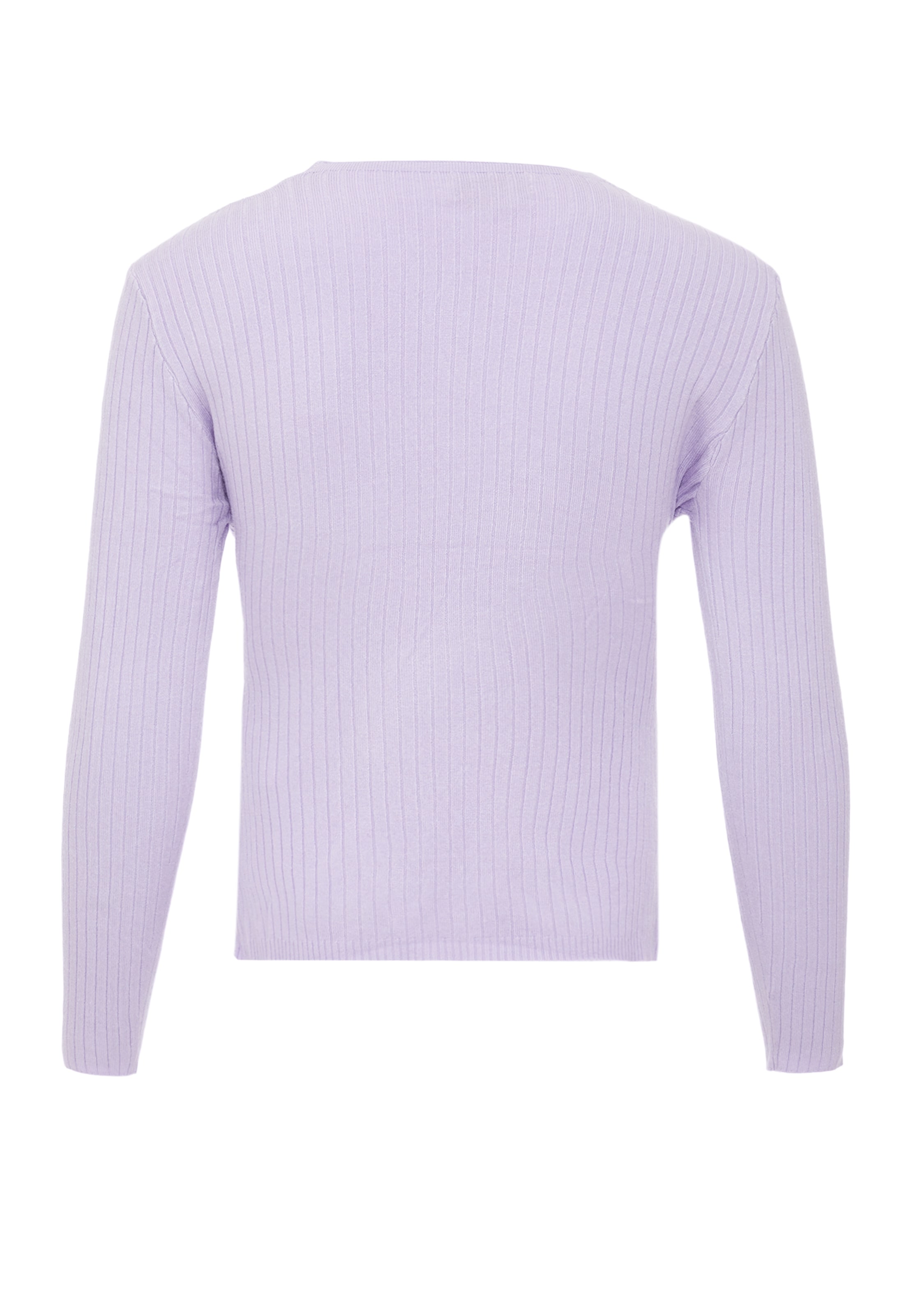 EUCALY Свитер в Лиловый