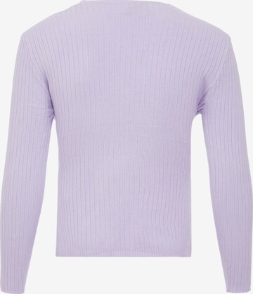 EUCALY Pullover in Lila