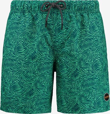 Shorts de bain Shiwi en vert : devant