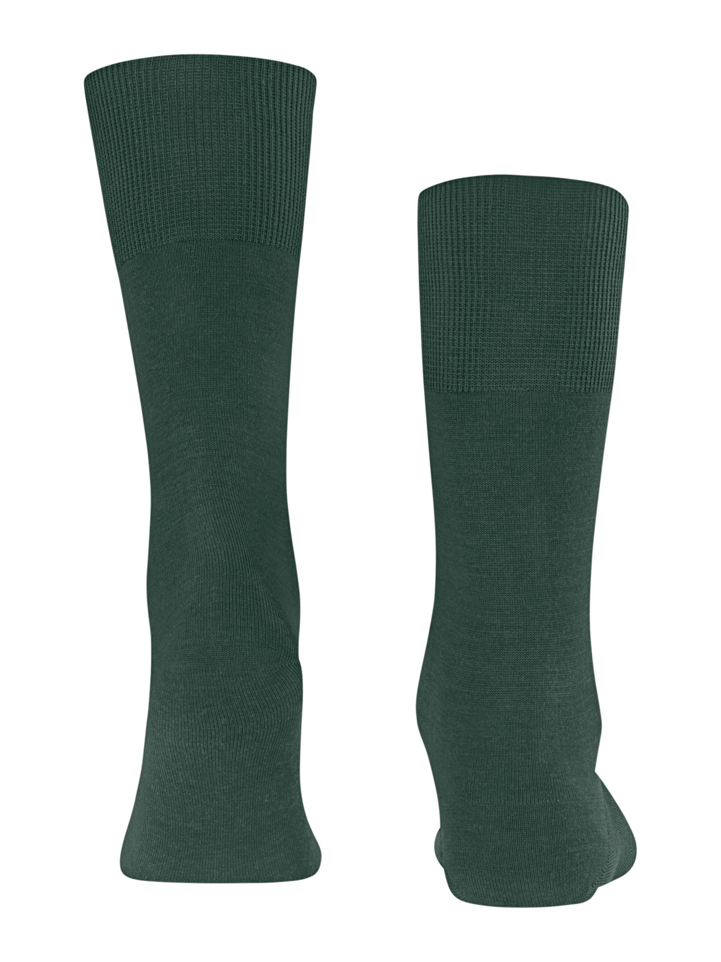 FALKE Socks 'Airport' in Green