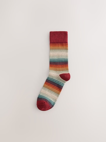 Next Socks in Mixed colours