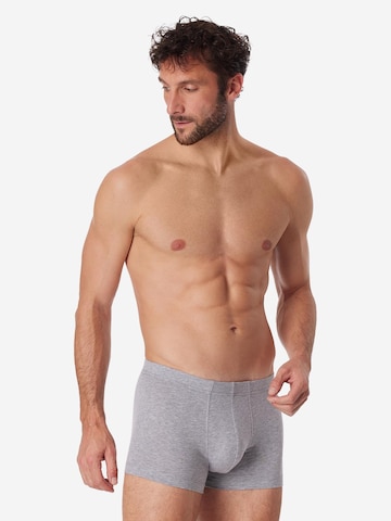 SCHIESSER Boxershorts '95/5 Essentials - Organic Cotton' in Gemengde kleuren