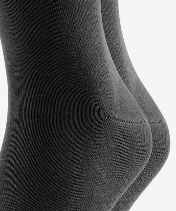 FALKE Socken in Schwarz