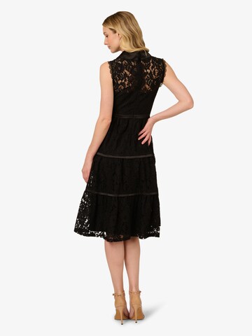 Adrianna Papell Blusenkleid in Schwarz