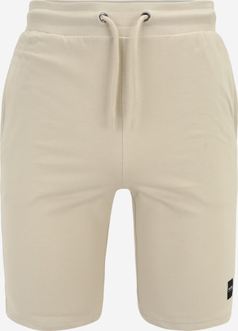 Only & Sons Pants 'Neil' in Beige: front