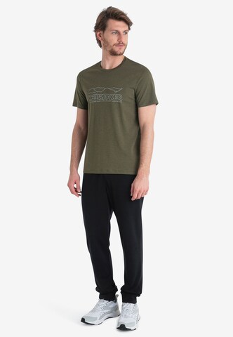 ICEBREAKER Performance Shirt 'Central Classic Story' in Green