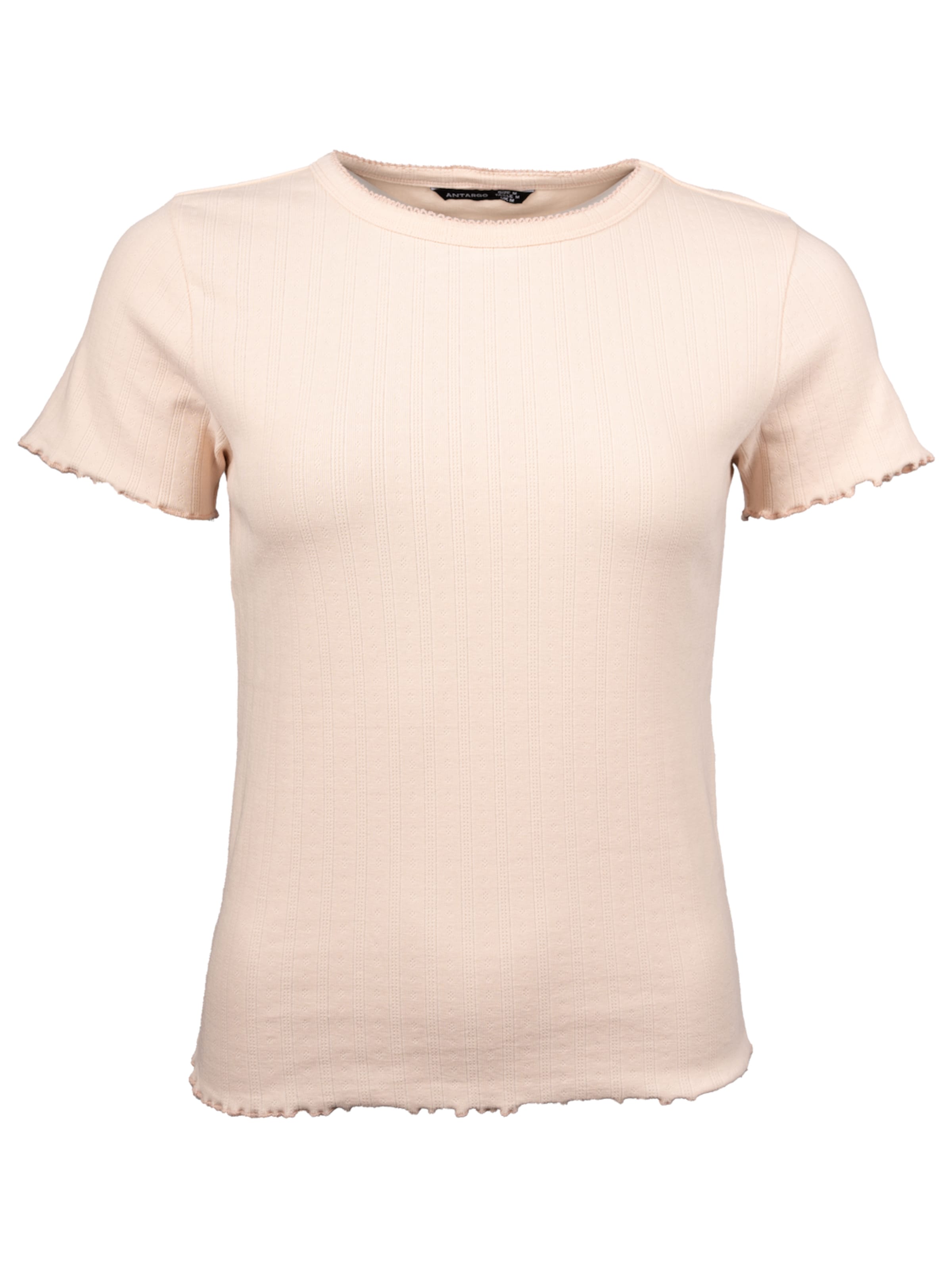 Antargo Shirt in Pink