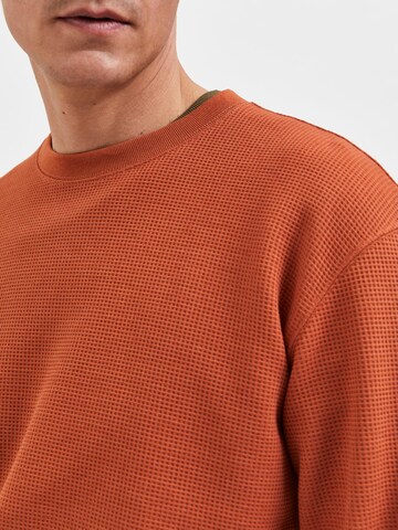 SELECTED HOMME Sweatshirt in Braun