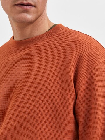 SELECTED HOMME Sweatshirt in Brown