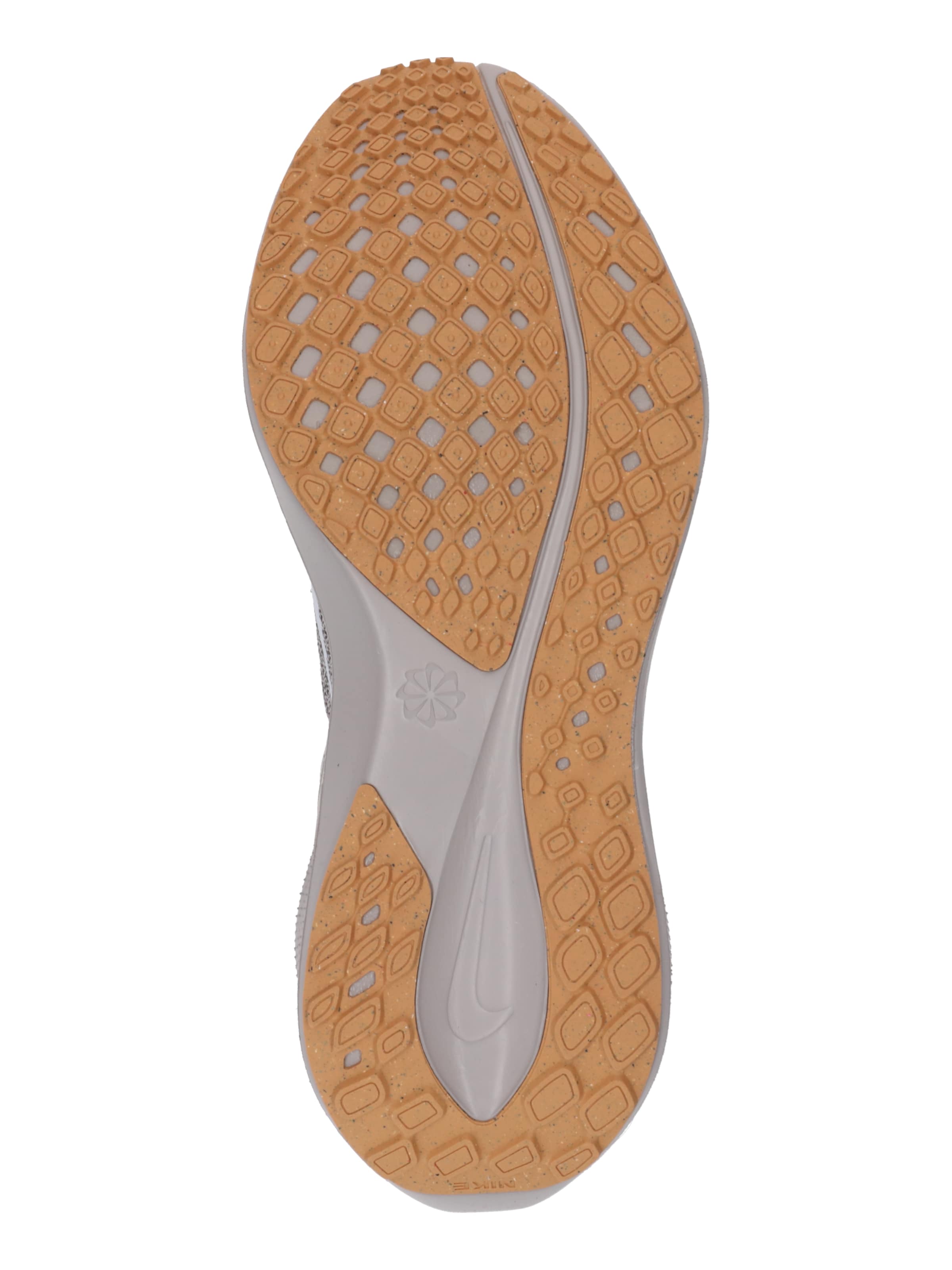 NIKE Nizke superge 'Air Zoom Pegasus 41' | siva barva