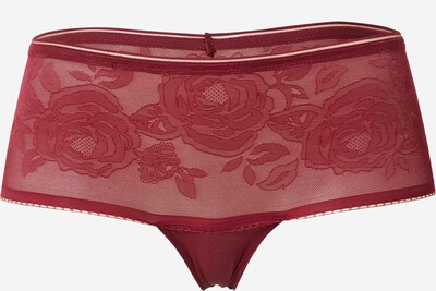TRIUMPH Culotte en bordeaux, Vue avec produit