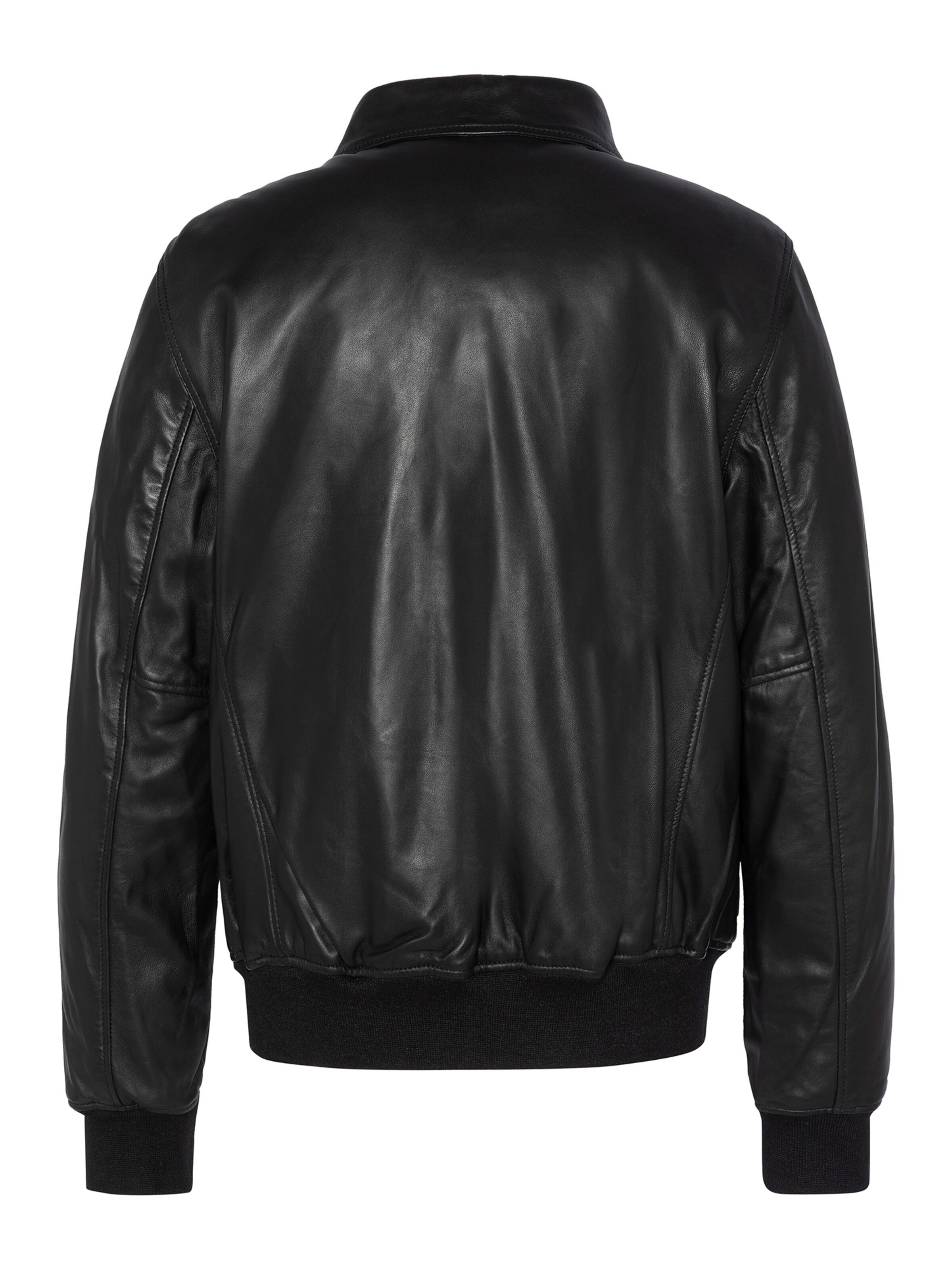 Schott NYC Winter Jacket in Black