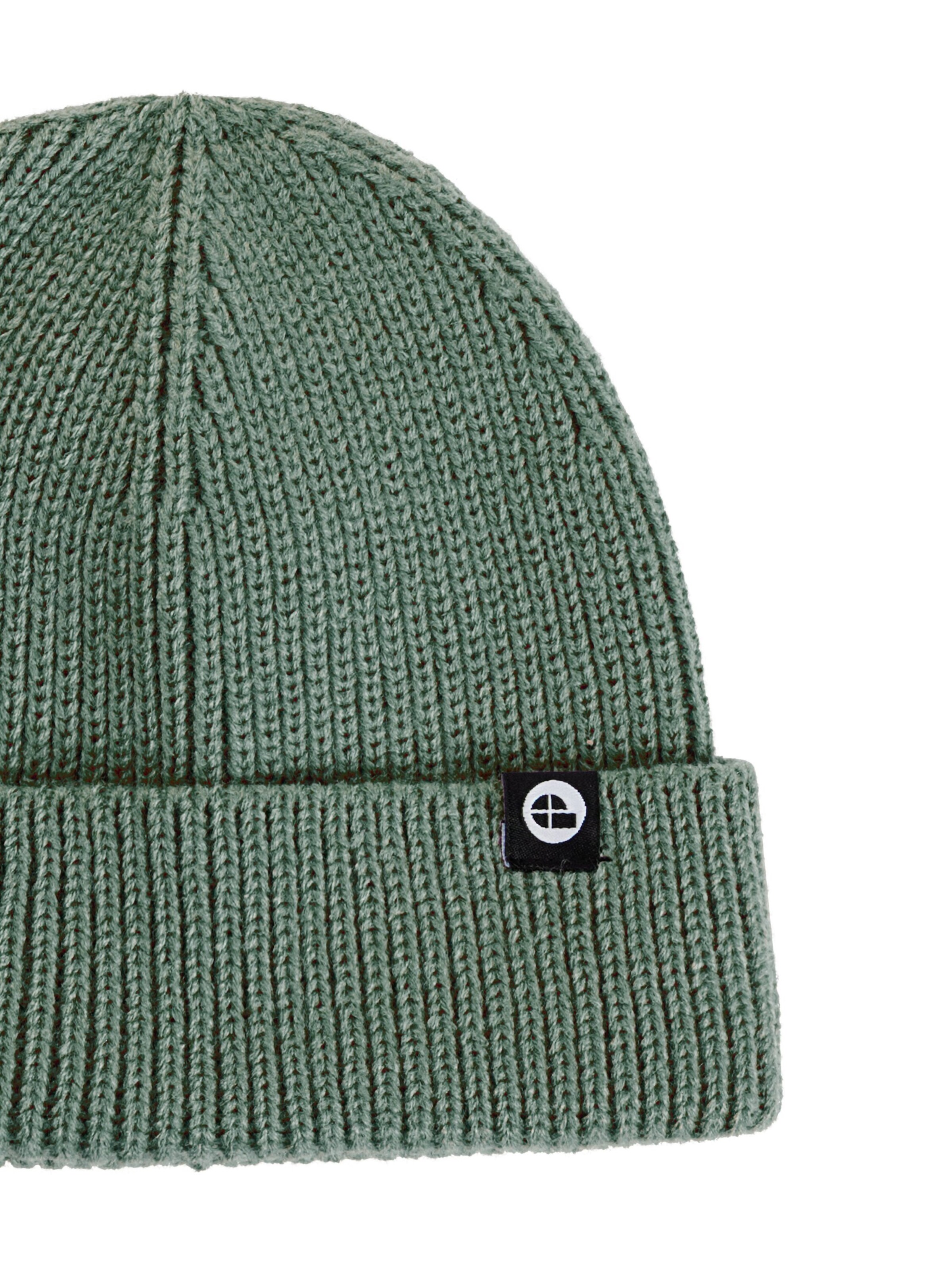 PROTEST Beanie 'PRTChapter TD' in Green
