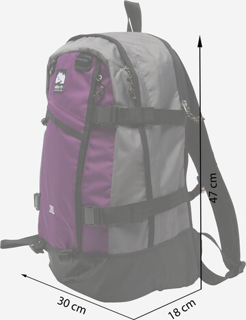 ADIDAS ORIGINALS Backpack in Purple
