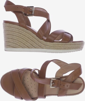 GEOX Sandalen 36 in Beige: predná strana