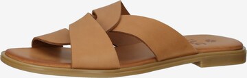 ILC Mules in Brown: front