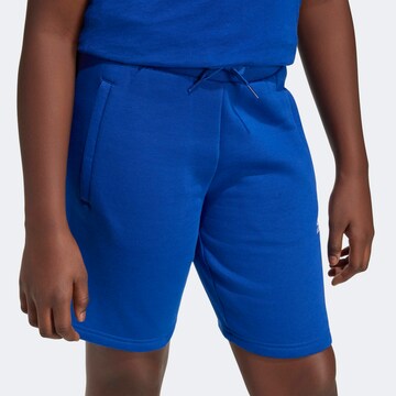 ADIDAS ORIGINALS Regular Pants in Blue