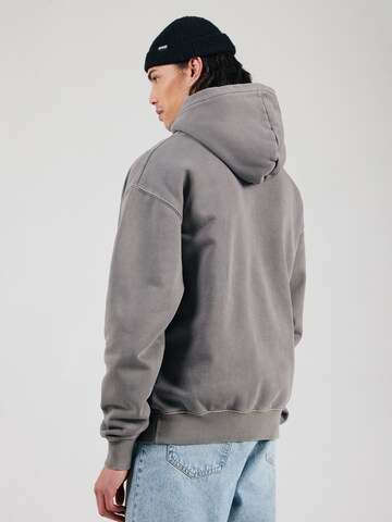 Pegador Sweatshirt in Grau