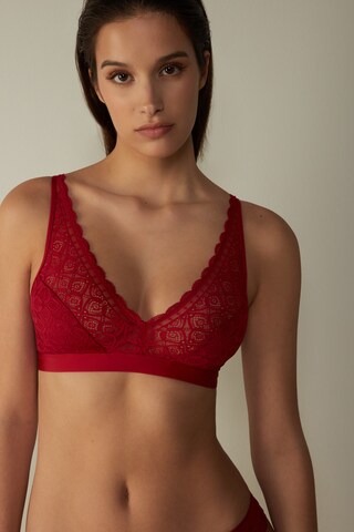 INTIMISSIMI Triangle Bra 'Lara' in Red: front