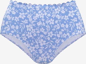VIVANCE Bikiniunderdel i blå: framsida