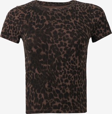 HOLLISTER T-Shirt in Braun: Vorderseite