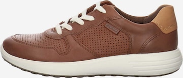 ECCO Sneakers in Brown