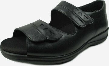 SOLIDUS Sandals in Black: front