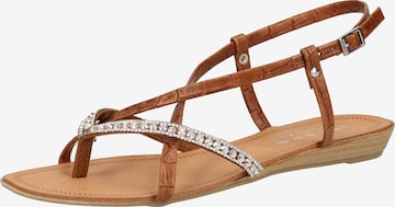 SCAPA T-Bar Sandals in Brown: front