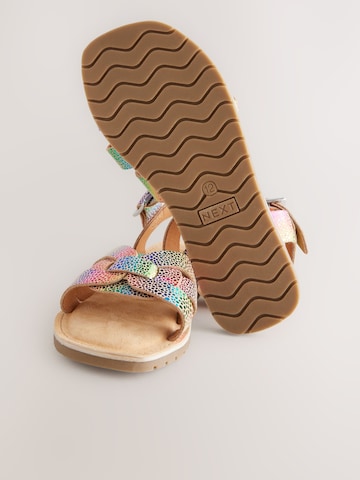 Next Sandal i blandade färger