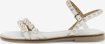 CAFè NOIR Sandalen in Weiß: Vorderseite