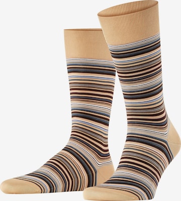 FALKE Socken 'Microblock' in Beige: Vorderseite