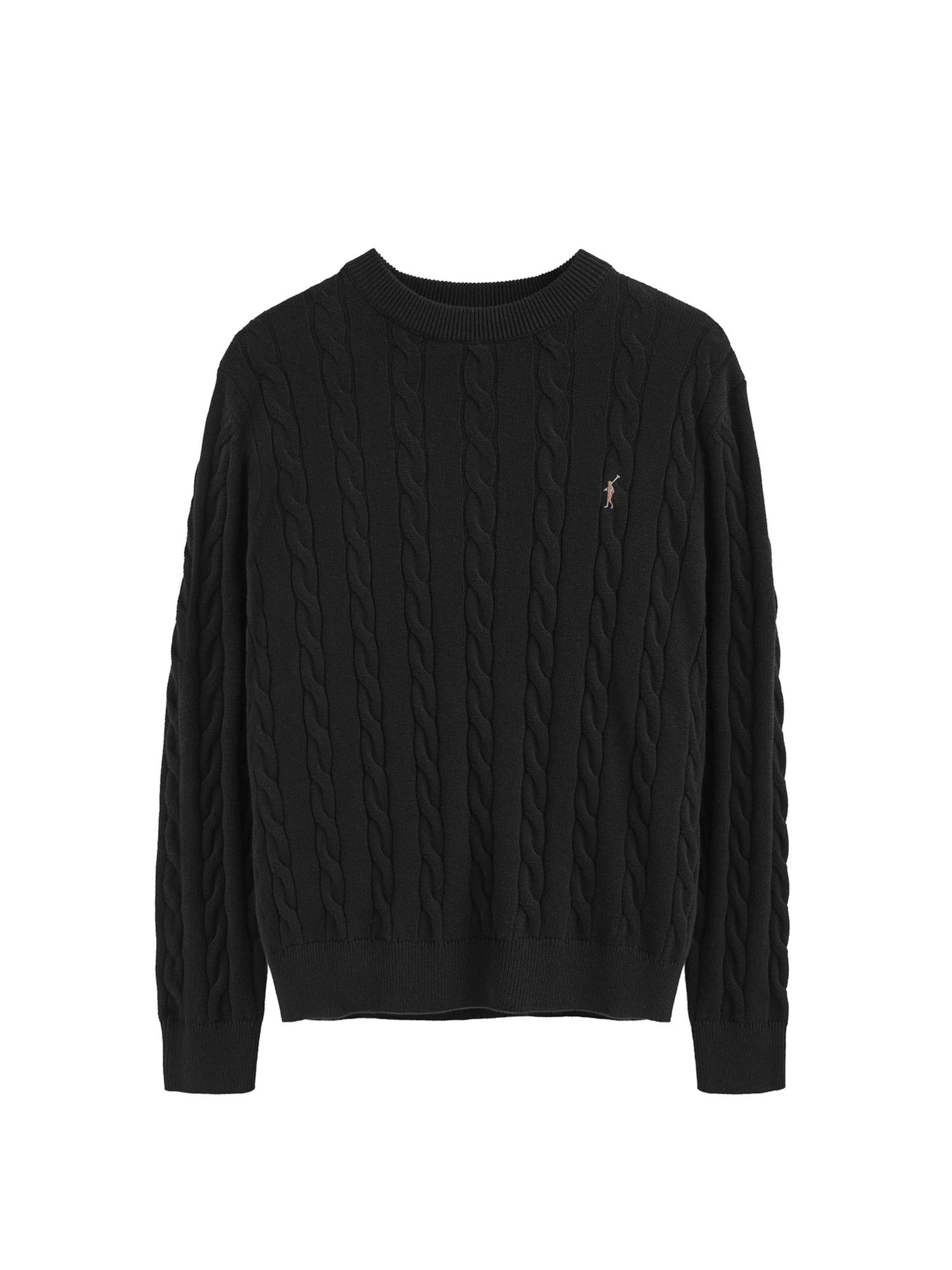 Polo Club Sweater in Blue