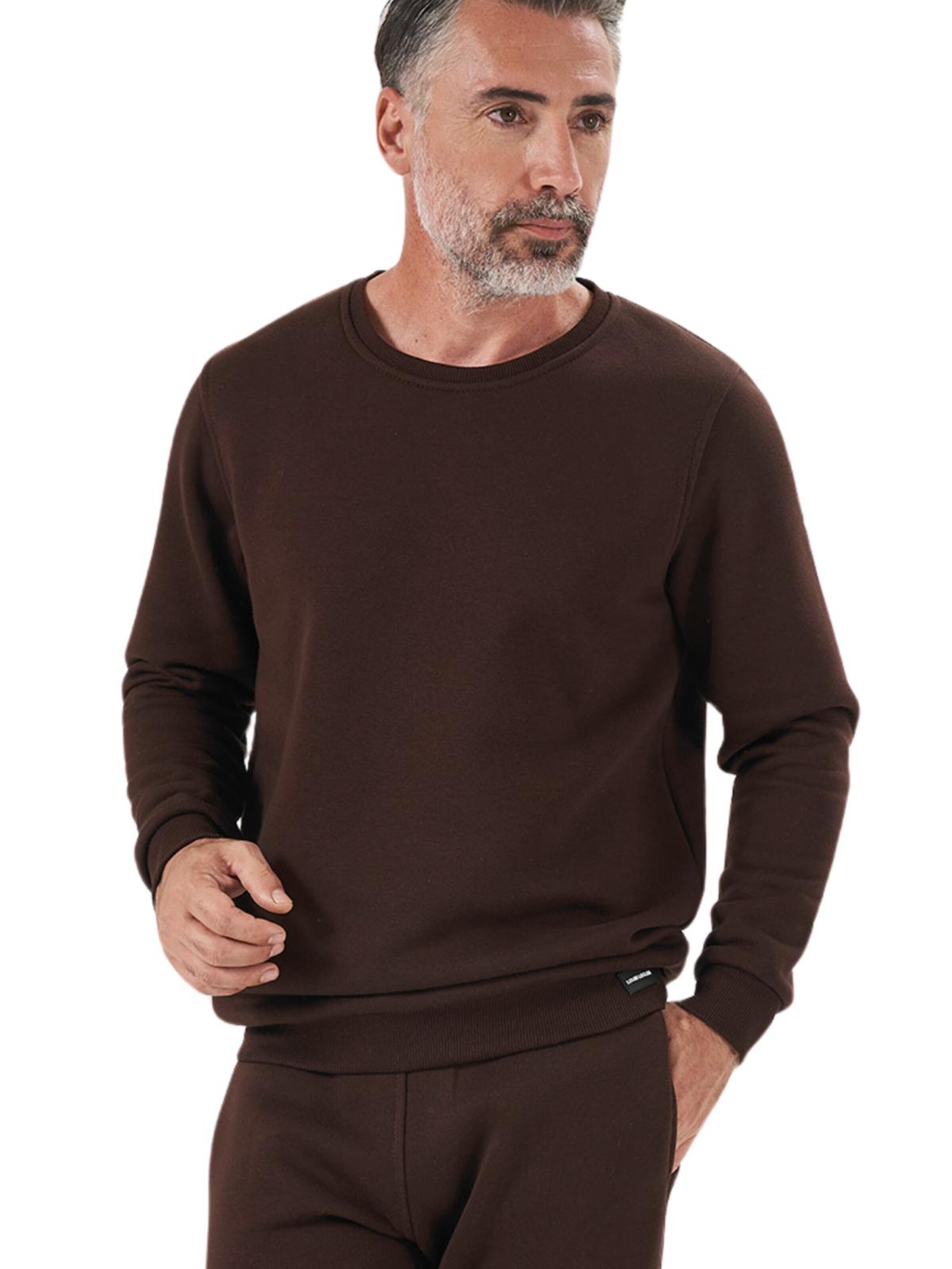 LOUIS LECLER Sweatshirt 'Carter' in Bruin
