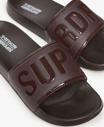 Claquettes / Tongs Superdry en marron
