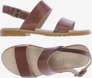 TIMBERLAND Sandals & High-Heeled Sandals in 37 in Brown: front