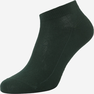 Chaussettes 'Family' FALKE en vert : devant