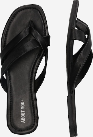 ABOUT YOU T-Bar Sandals 'Noemi' in Black