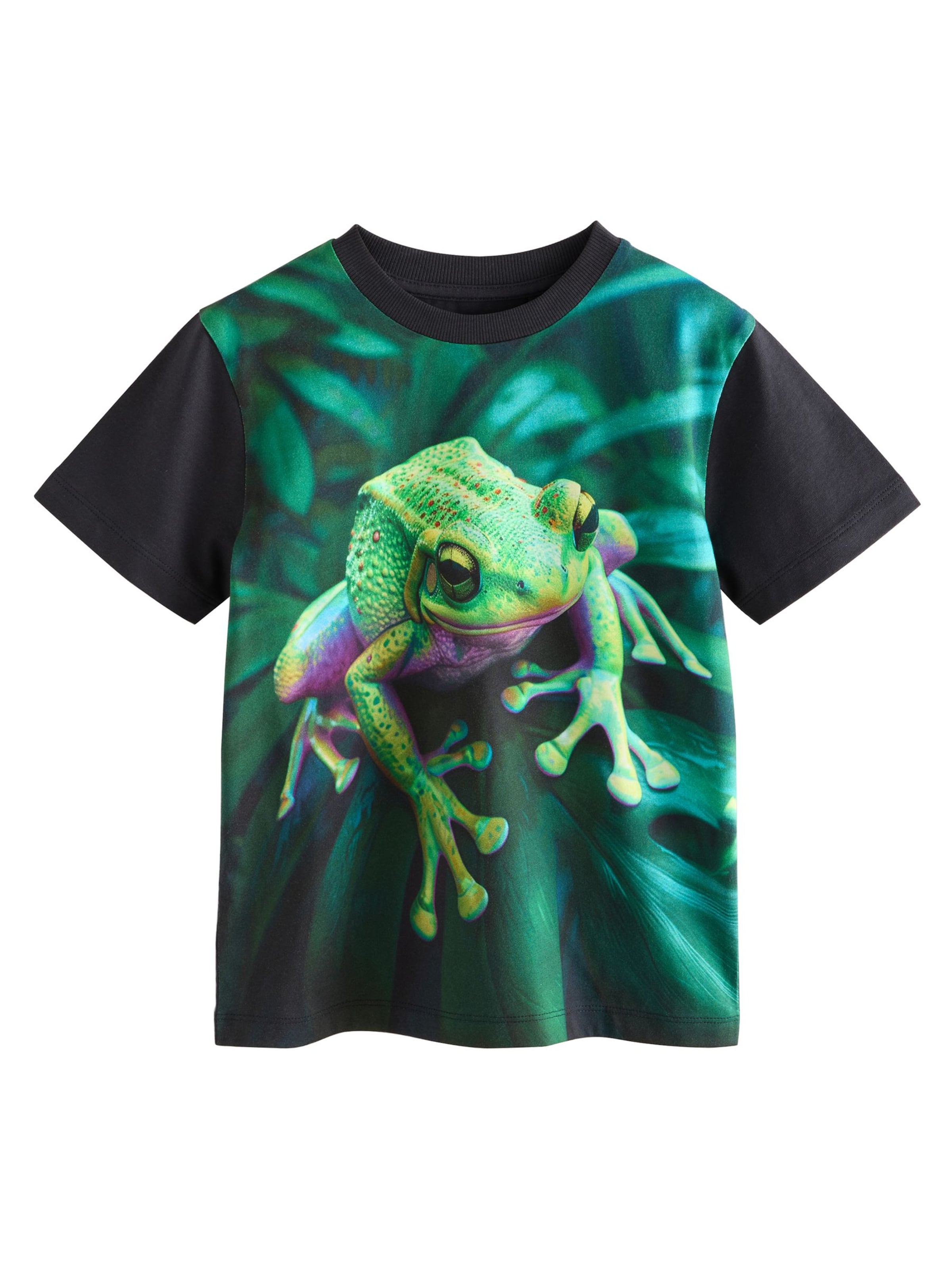 Next T-Shirt 'Print' in Grün: Vorderseite