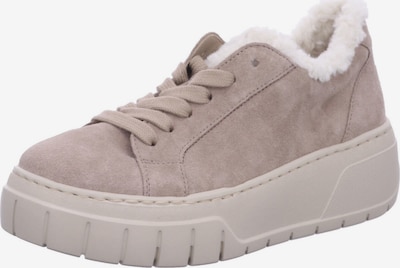 GABOR Sneaker in dunkelbeige, Produktansicht