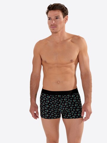 HOM Boxershorts 'Dizzy HO1' in Groen