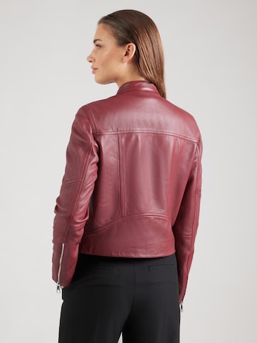 BOSS Jacke 'C_Saleste1' in Rot