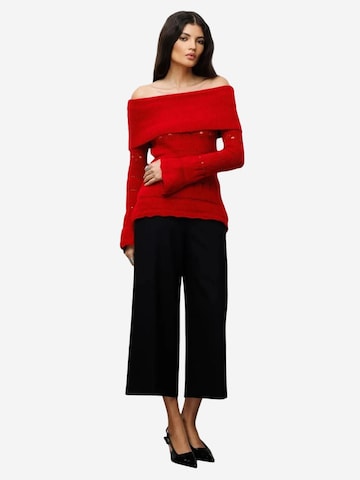 Pullover 'Pullover' di MixRay in rosso