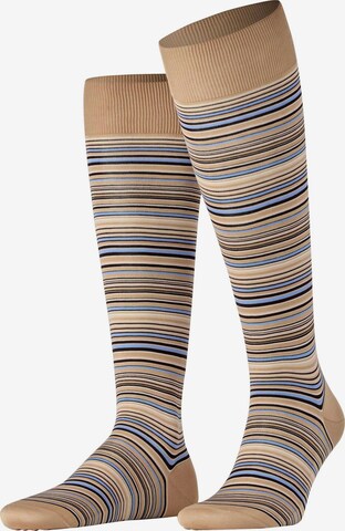 FALKE Kniestrümpfe 'Microblock' in Beige: Vorderseite