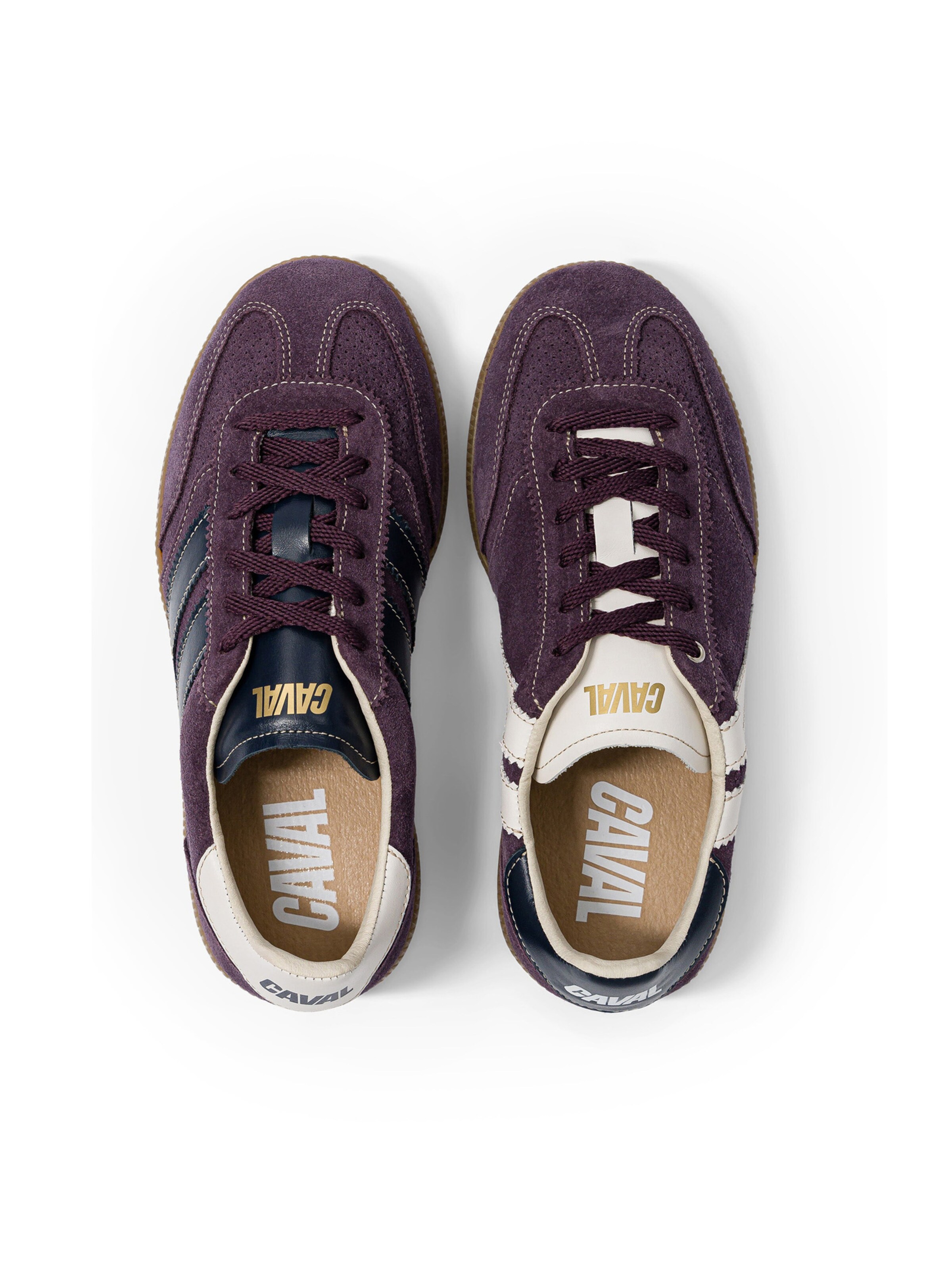 Caval Platform trainers ' PULSE ' in Purple
