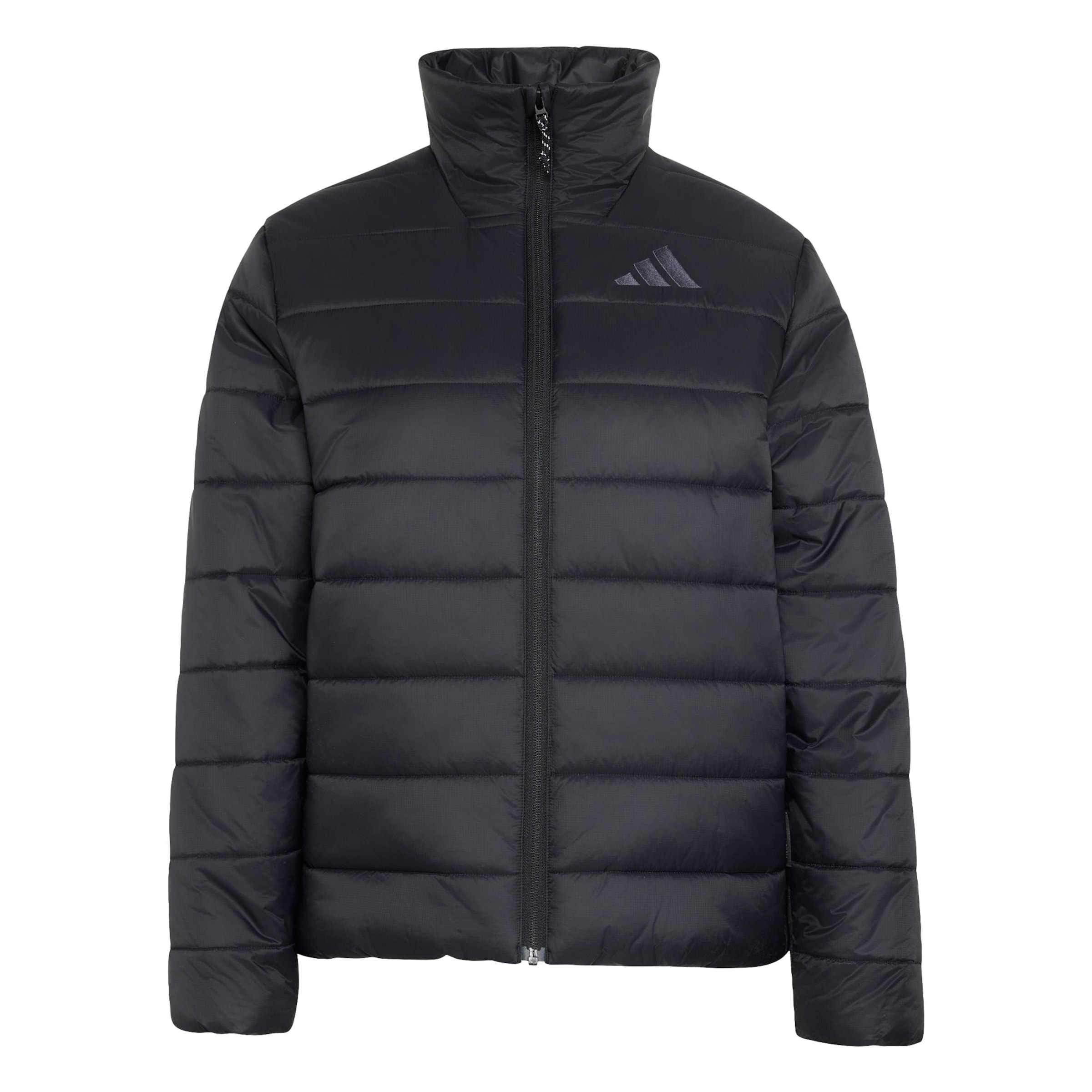 Veste outdoor 'Multi Essentials' ADIDAS TERREX en noir : devant