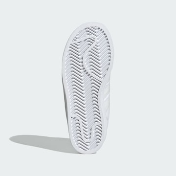 ADIDAS ORIGINALS Sneakers 'Superstar' in Wit