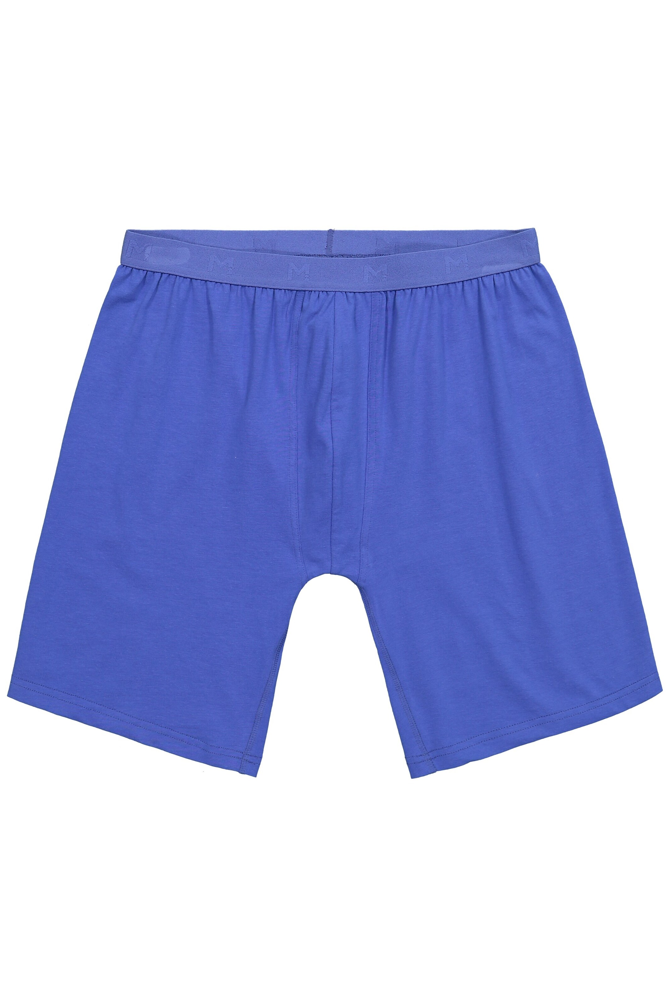 Men Plus Panty in Blue: front